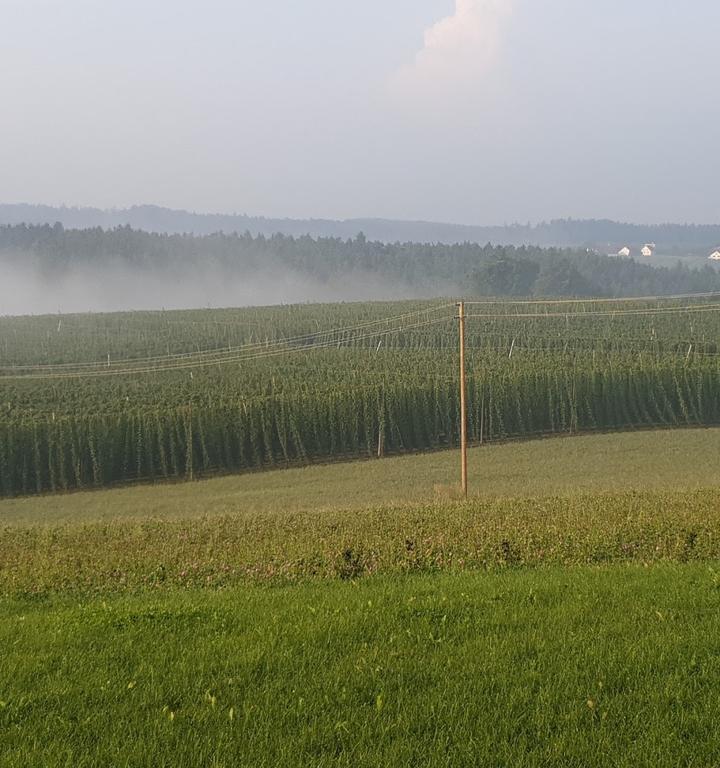 Landgasthof Siebler